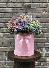 Цветочная композиция из Гипсофила и Розы в шляпной коробке #REPLACE_PRED# Шигоны