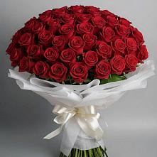 Букет 101 Красная роза Блэк Мэджик в Шигоны