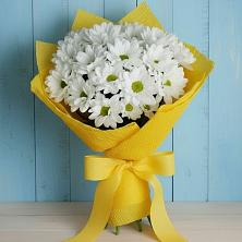 Букет цветов из:  Хризантемы в Шигоны