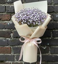 Букет цветов из:  Гипсофила в Шигоны