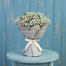 Букет цветов из:  Гипсофила в Шигоны