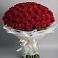 Букет 101 Красная роза Блэк Мэджик в Шигоны