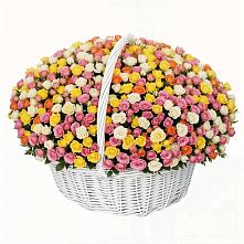 Премиум букет из: Розы в Шигоны