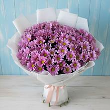 Букет цветов из:  Хризантемы в Шигоны