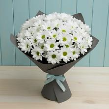 Букет цветов из:  Хризантемы в Шигоны