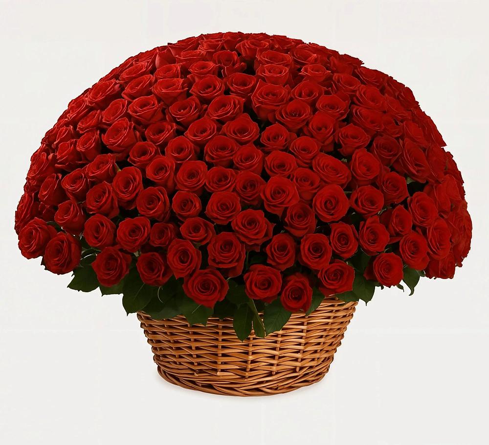 Премиум букет из: Розы в Шигоны