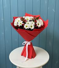 Букет цветов из:  Хризантемы в Шигоны