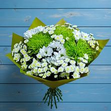 Букет цветов из:  Хризантемы #REPLACE_PRED# Шигоны