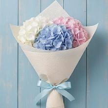 Букет цветов из:  Гортензия в Шигоны