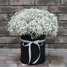 Цветочная композиция из Гипсофила в шляпной коробке в Шигоны