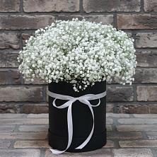 Цветочная композиция из Гипсофила в шляпной коробке в Шигоны