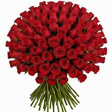 Букет Красные розы Чери Лав #REPLACE_PRED# Шигоны