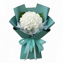 Букет цветов из:  Гортензия в Шигоны